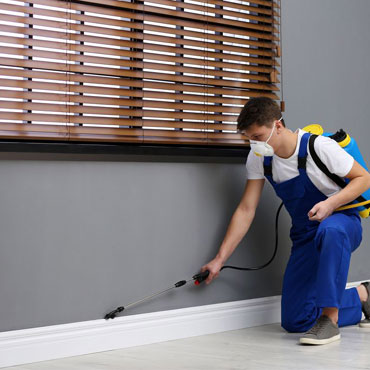 Interior renovation contractors in Chennai