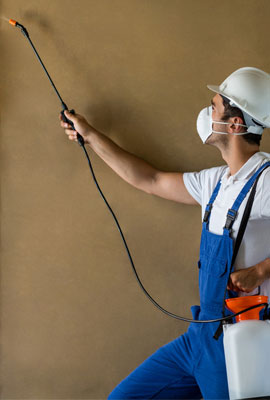 decorative wall painting Chennai